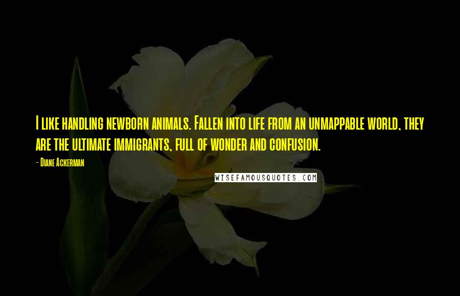 Diane Ackerman quotes: I like handling newborn animals. Fallen into life from an unmappable world, they are the ultimate immigrants, full of wonder and confusion.