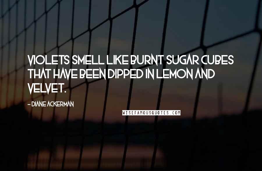 Diane Ackerman quotes: Violets smell like burnt sugar cubes that have been dipped in lemon and velvet.
