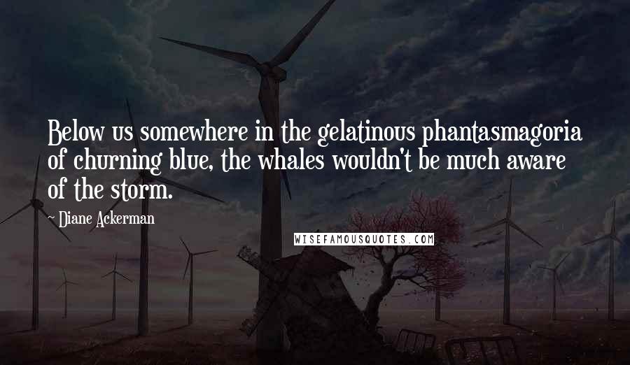 Diane Ackerman quotes: Below us somewhere in the gelatinous phantasmagoria of churning blue, the whales wouldn't be much aware of the storm.