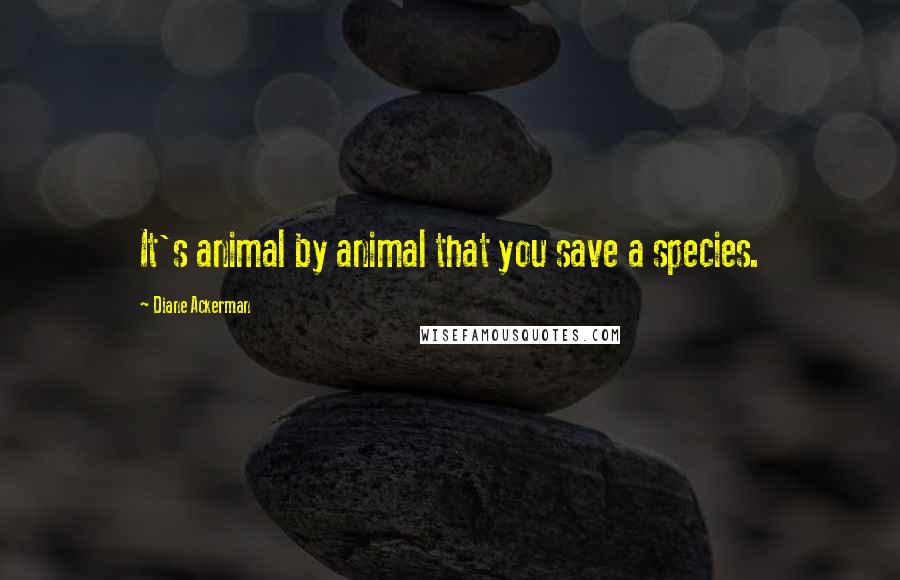 Diane Ackerman quotes: It's animal by animal that you save a species.