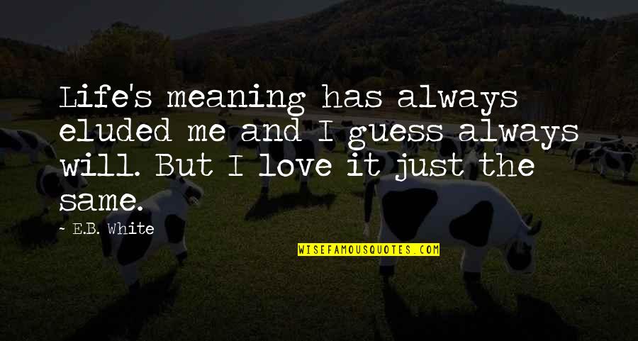Diane Carroll Quotes By E.B. White: Life's meaning has always eluded me and I Diane Carroll Quotes By E.B. White: Life's meaning has always eluded me and I