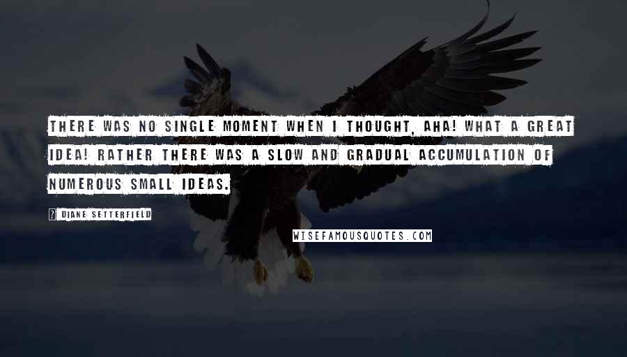 Diane Setterfield quotes: There was no single moment when I thought, Aha! What a great idea! Rather there was a slow and gradual accumulation of numerous small ideas.