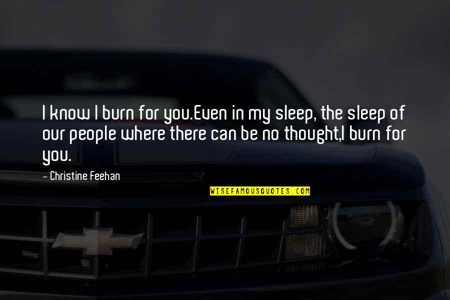 Diane Von Furstenberg Inspirational Quotes By Christine Feehan: I know I burn for you.Even in my