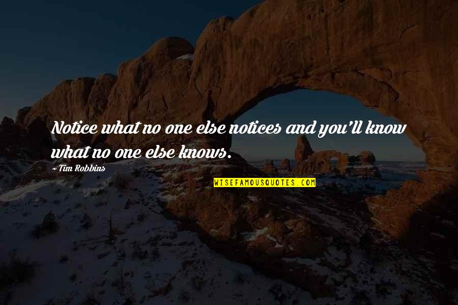 Diane Von Furstenberg Inspirational Quotes By Tim Robbins: Notice what no one else notices and you'll