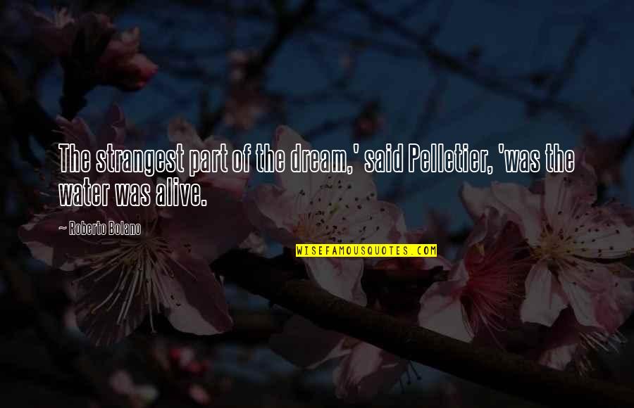 Dianne Wiest Edward Scissorhands Quotes By Roberto Bolano: The strangest part of the dream,' said Pelletier,