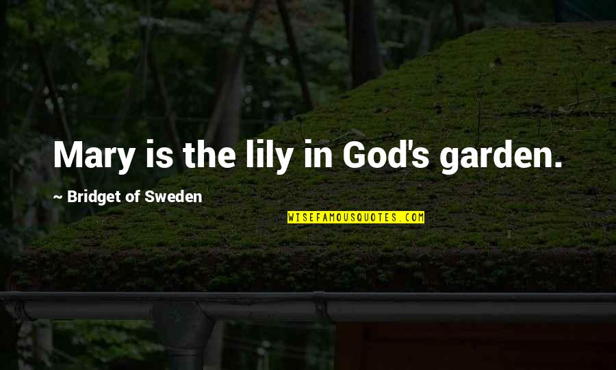 Dianyan Quotes By Bridget Of Sweden: Mary is the lily in God's garden.