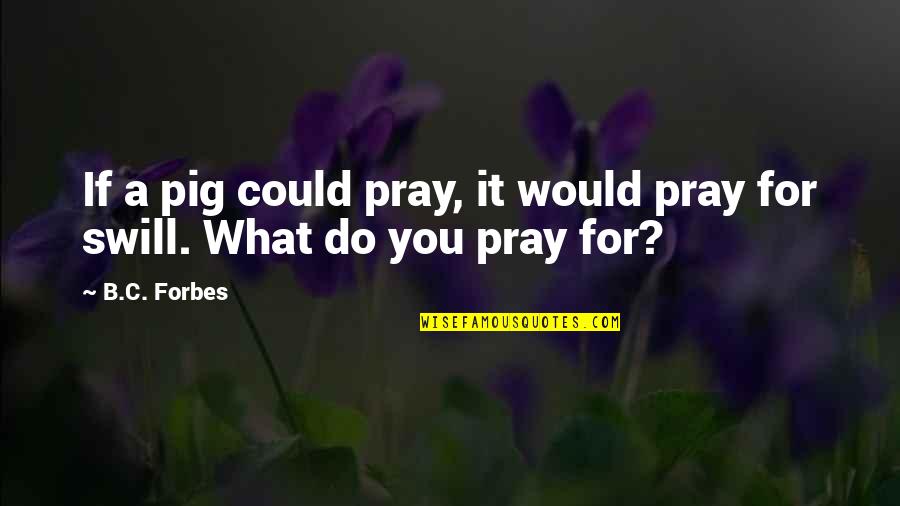 Diaphane Quotes By B.C. Forbes: If a pig could pray, it would pray
