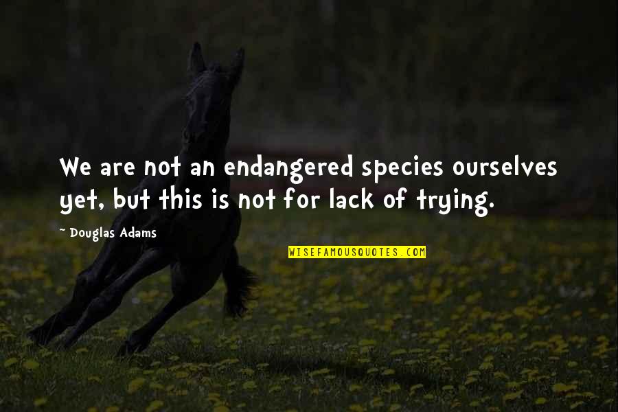 Diaxonhit Quotes By Douglas Adams: We are not an endangered species ourselves yet,