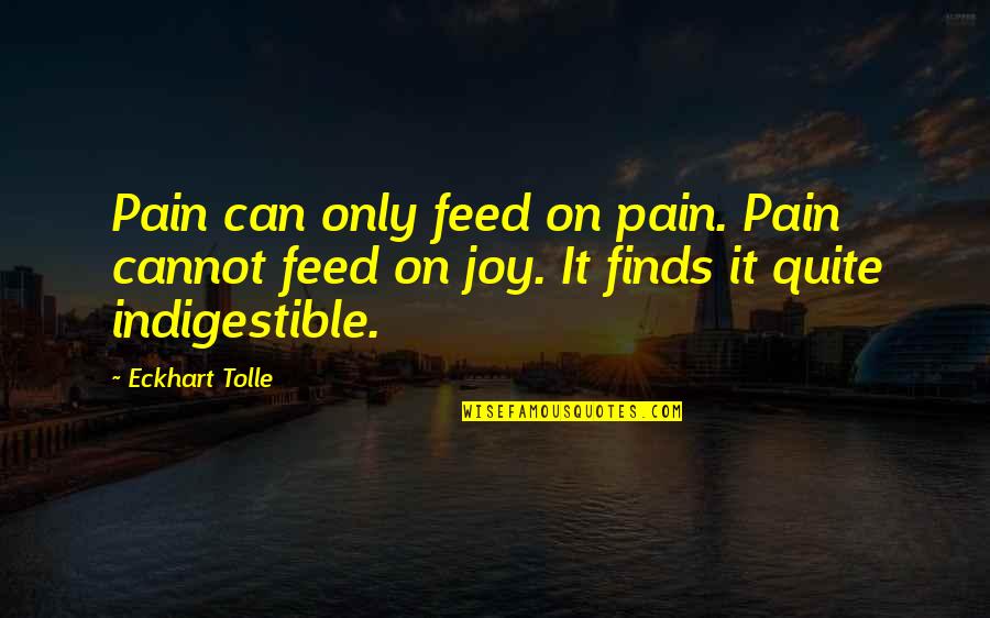 Dibbells Quotes By Eckhart Tolle: Pain can only feed on pain. Pain cannot Dibbells Quotes By Eckhart Tolle: Pain can only feed on pain. Pain cannot