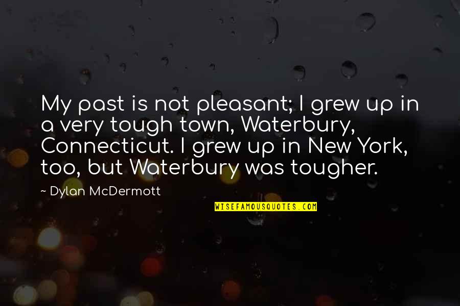 Dibbern Plates Quotes By Dylan McDermott: My past is not pleasant; I grew up