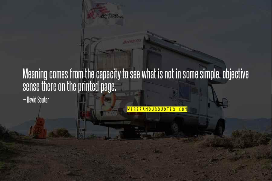 Dibenzofuran Quotes By David Souter: Meaning comes from the capacity to see what Dibenzofuran Quotes By David Souter: Meaning comes from the capacity to see what