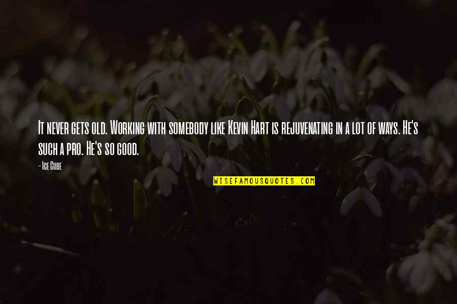 Dibernardo Crest Quotes By Ice Cube: It never gets old. Working with somebody like Dibernardo Crest Quotes By Ice Cube: It never gets old. Working with somebody like