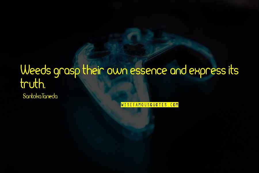 Diburu Lamissi Quotes By Santoka Taneda: Weeds grasp their own essence and express its Diburu Lamissi Quotes By Santoka Taneda: Weeds grasp their own essence and express its