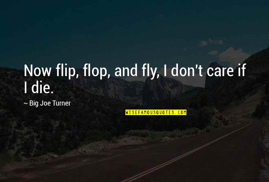 Dicaprios Character Quotes By Big Joe Turner: Now flip, flop, and fly, I don't care