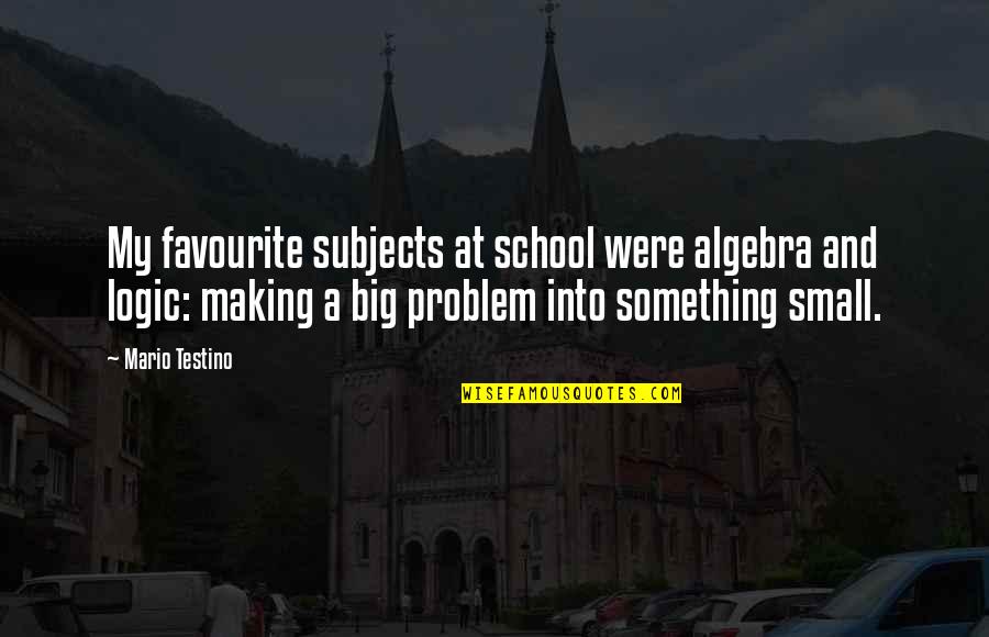 Diccionario Ingles Espa Ol Quotes By Mario Testino: My favourite subjects at school were algebra and