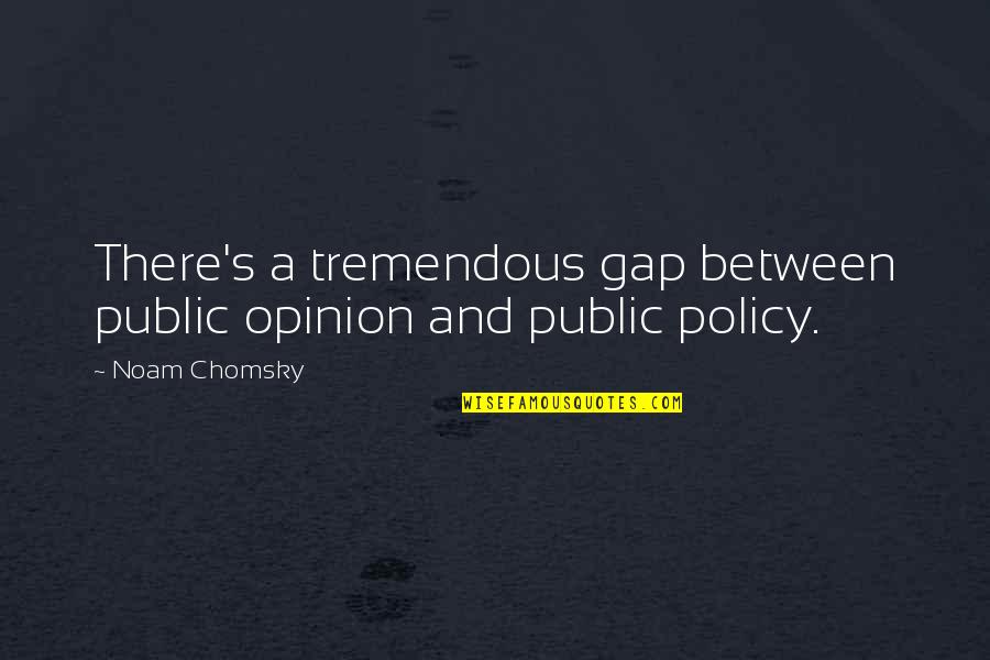Dice Tattoo Quotes By Noam Chomsky: There's a tremendous gap between public opinion and