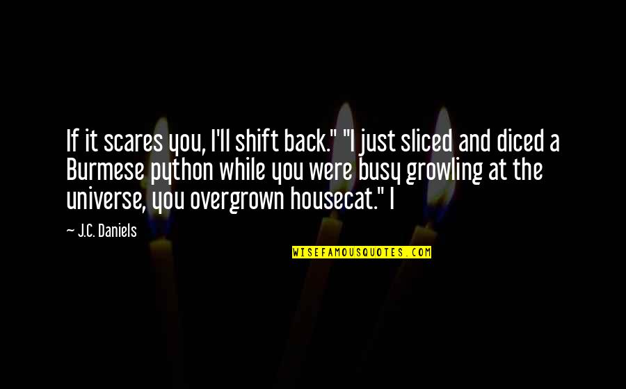 Diced Quotes By J.C. Daniels: If it scares you, I'll shift back." "I