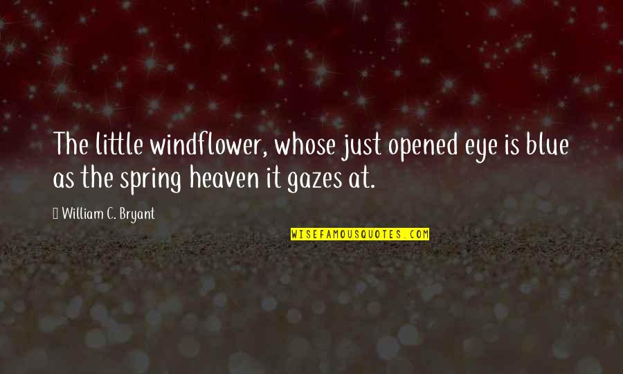 Dichiaro Di Quotes By William C. Bryant: The little windflower, whose just opened eye is Dichiaro Di Quotes By William C. Bryant: The little windflower, whose just opened eye is