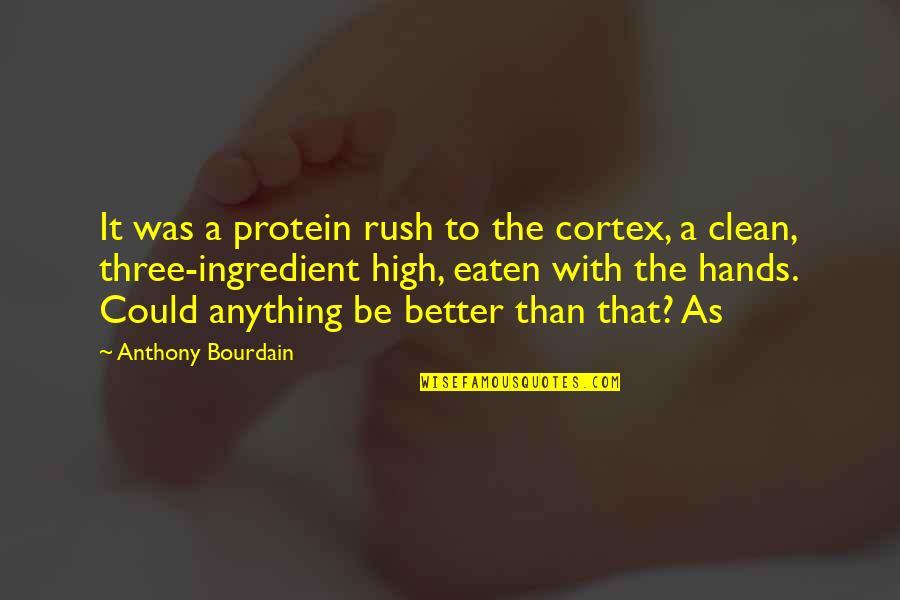 Dichos Populares Quotes By Anthony Bourdain: It was a protein rush to the cortex,