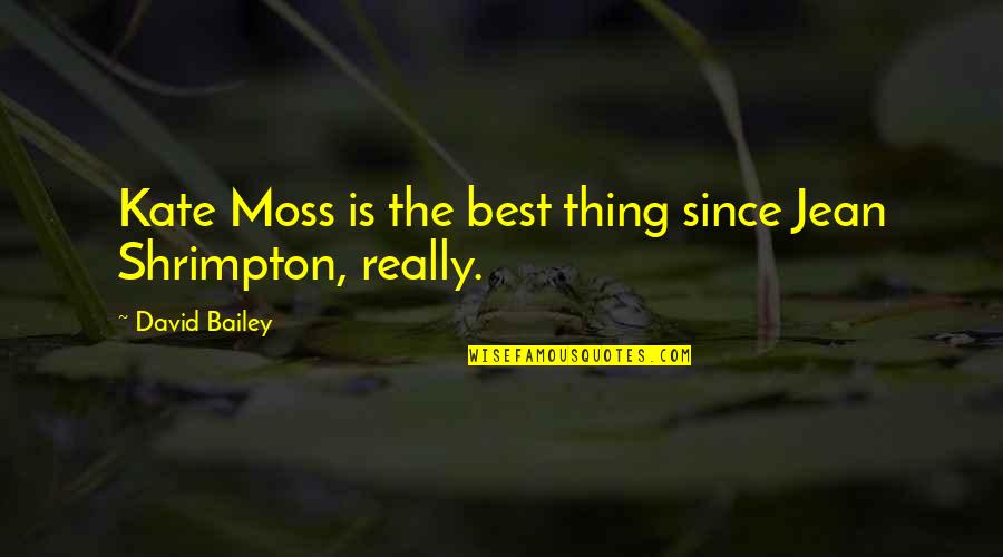 Dichtung Quotes By David Bailey: Kate Moss is the best thing since Jean Dichtung Quotes By David Bailey: Kate Moss is the best thing since Jean