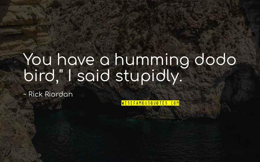 Diciamo In Italian Quotes By Rick Riordan: You have a humming dodo bird," I said Diciamo In Italian Quotes By Rick Riordan: You have a humming dodo bird," I said