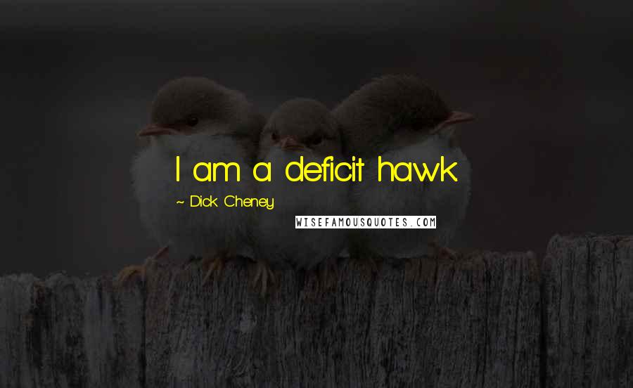 Dick Cheney quotes: I am a deficit hawk.