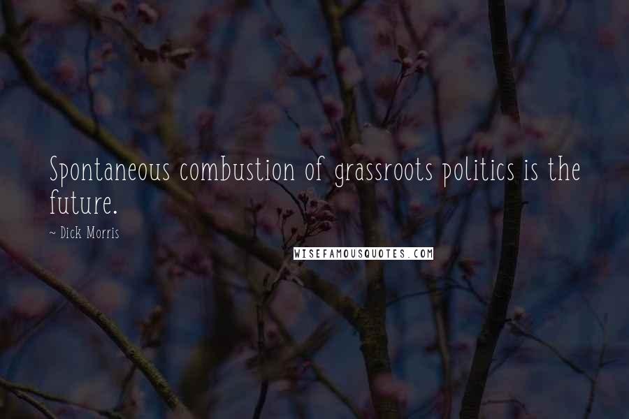 Dick Morris quotes: Spontaneous combustion of grassroots politics is the future.