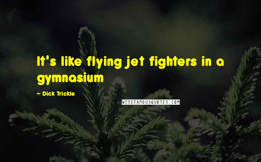 Dick Trickle quotes: It's like flying jet fighters in a gymnasium