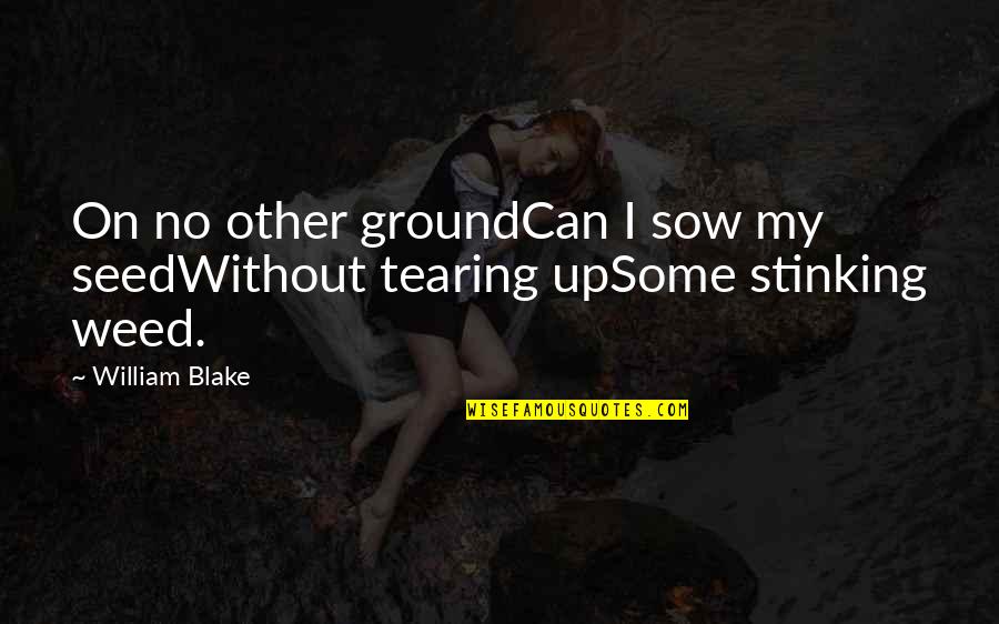 Dickensian Season Quotes By William Blake: On no other groundCan I sow my seedWithout
