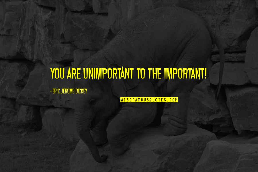 Dickey's Quotes By Eric Jerome Dickey: you are unimportant to the important!