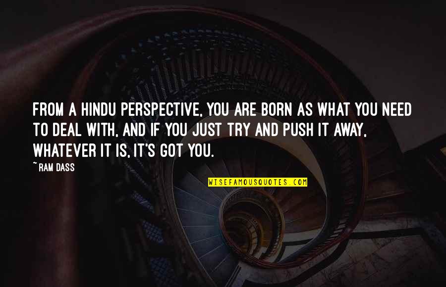 Dickie Eklund Quotes By Ram Dass: From a Hindu perspective, you are born as