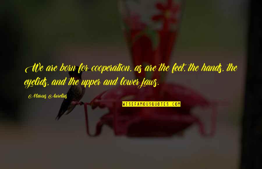 Dicover Quotes By Marcus Aurelius: We are born for cooperation, as are the Dicover Quotes By Marcus Aurelius: We are born for cooperation, as are the