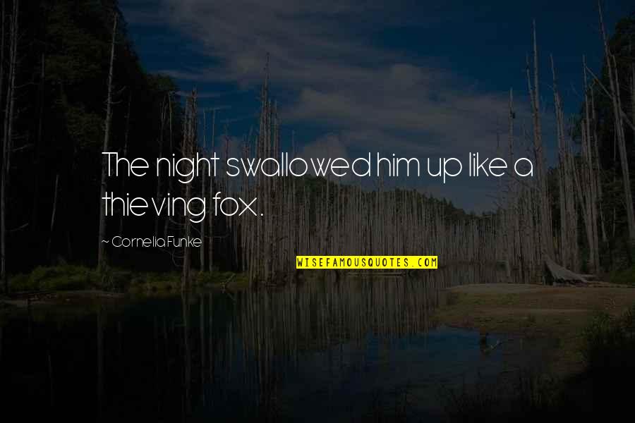 Dictionary Definitions Quotes By Cornelia Funke: The night swallowed him up like a thieving