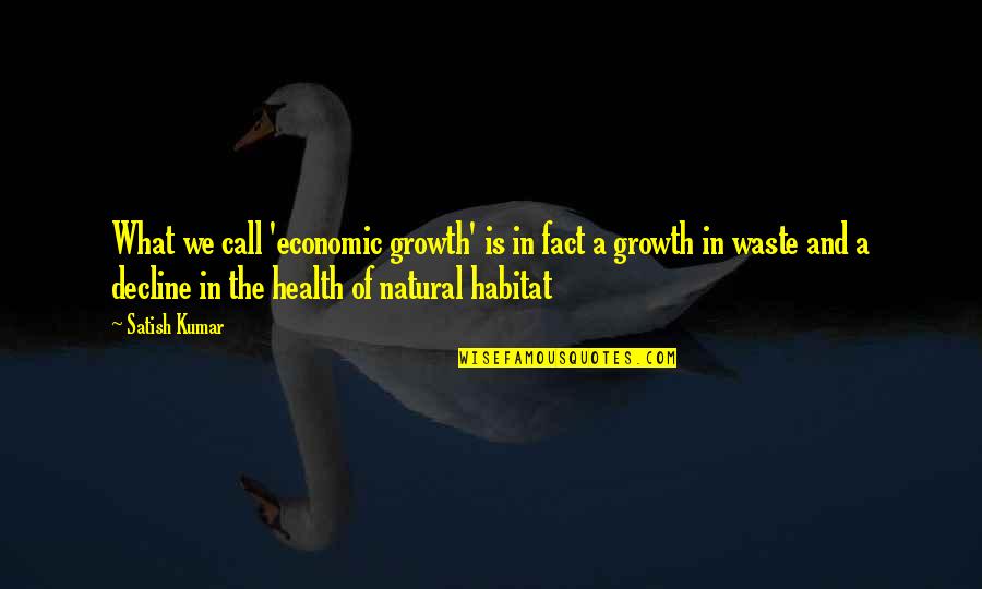 Dictionary Definitions Quotes By Satish Kumar: What we call 'economic growth' is in fact