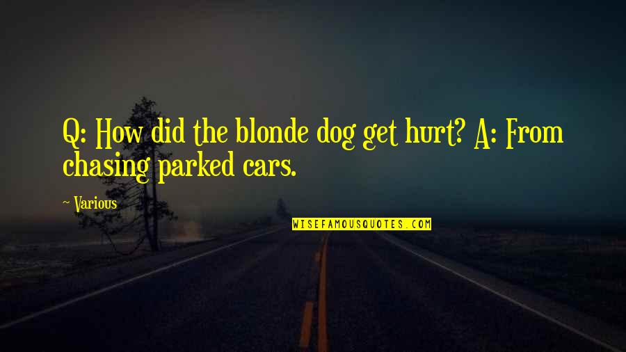 Did I Hurt U Quotes By Various: Q: How did the blonde dog get hurt?