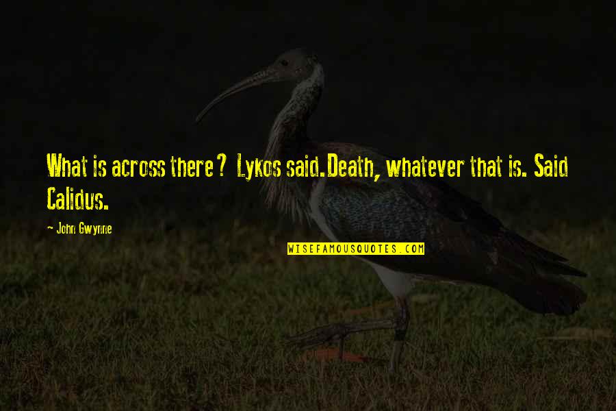 Did I Tell You Today Quotes By John Gwynne: What is across there? Lykos said.Death, whatever that