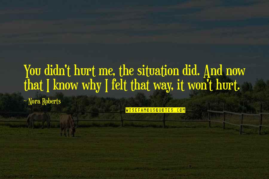 Did It Hurt Quotes By Nora Roberts: You didn't hurt me, the situation did. And