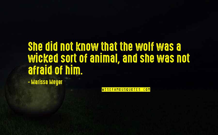 Did That Quotes By Marissa Meyer: She did not know that the wolf was