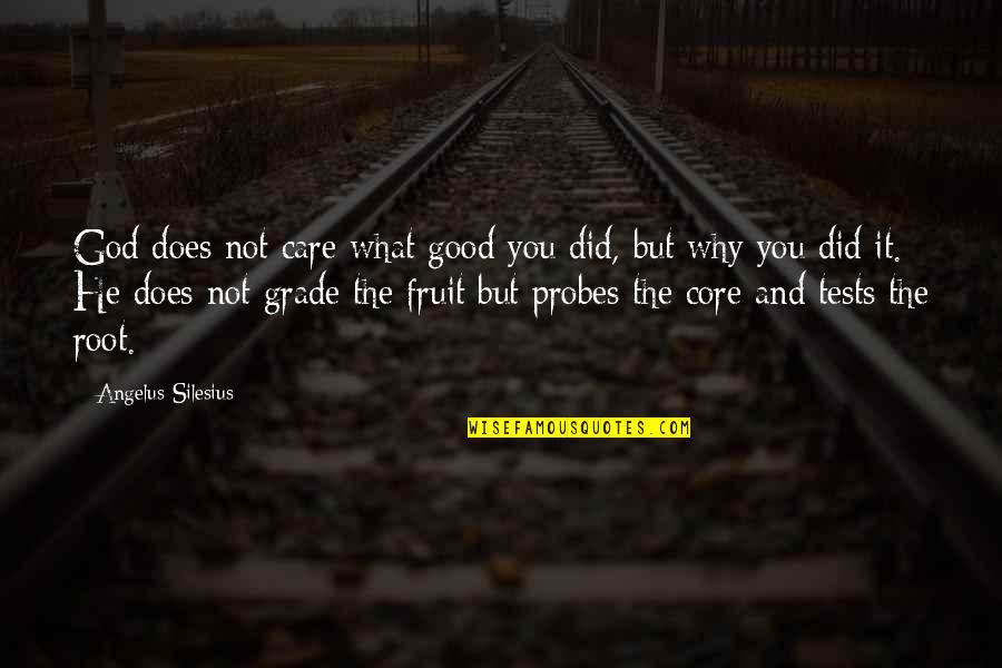 Did You Care Quotes By Angelus Silesius: God does not care what good you did,