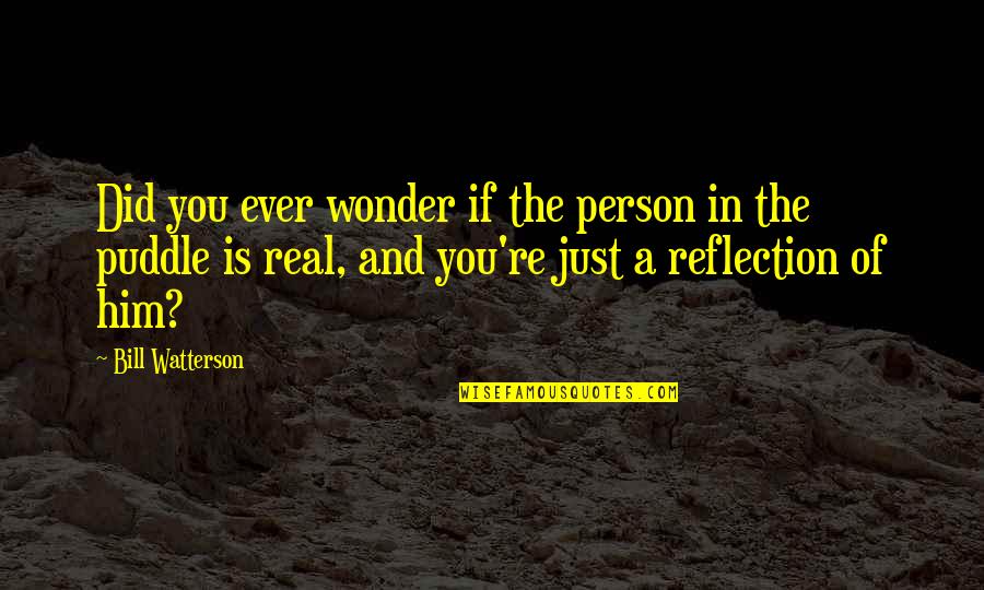 Did You Ever Just Quotes By Bill Watterson: Did you ever wonder if the person in