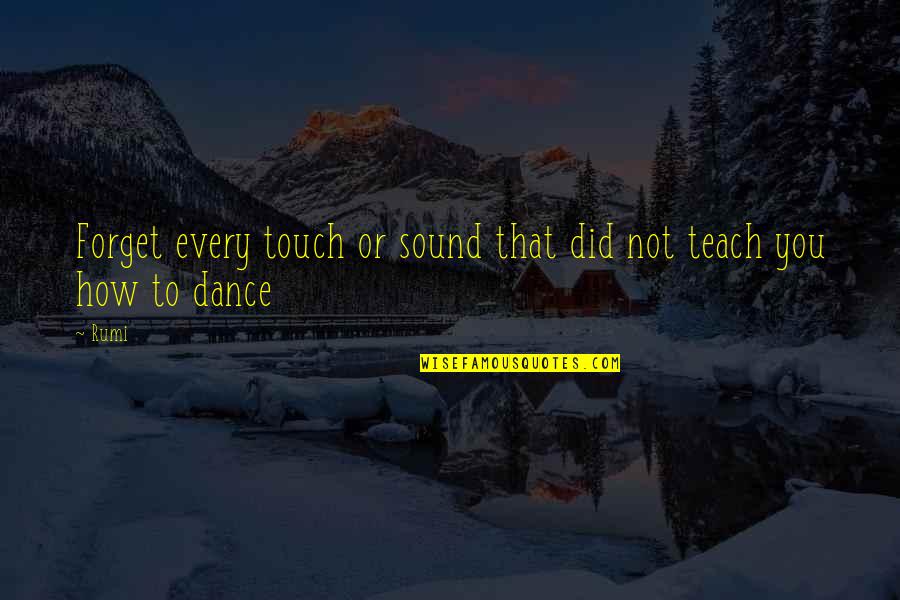 Did You Forget Quotes By Rumi: Forget every touch or sound that did not