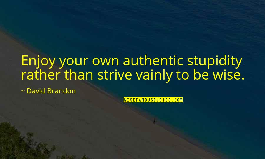 Didactic Teaching Quotes By David Brandon: Enjoy your own authentic stupidity rather than strive