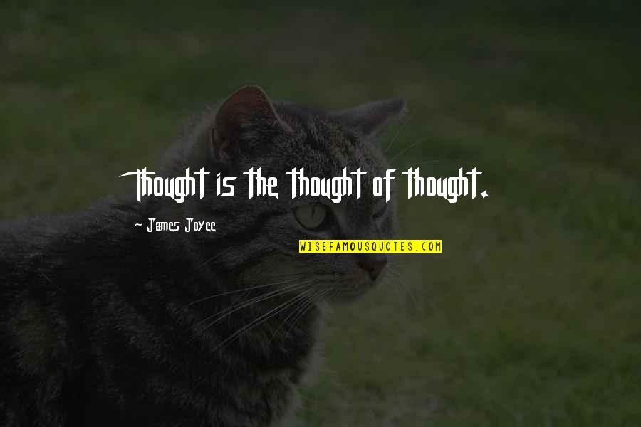 Diddley Bows Quotes By James Joyce: Thought is the thought of thought.
