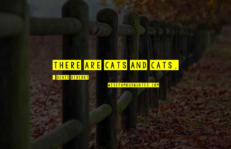 Diderot Quotes By Denis Diderot: There are cats and cats.