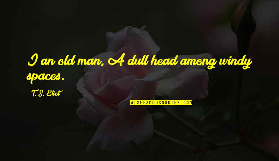Didja Ever Quotes By T. S. Eliot: I an old man, A dull head among