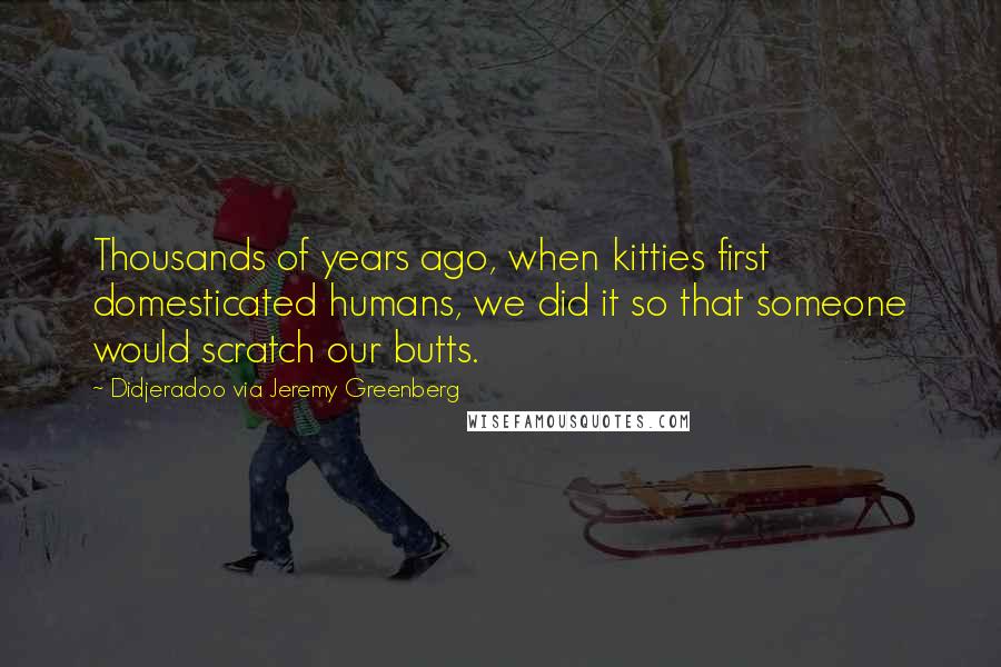 Didjeradoo Via Jeremy Greenberg quotes: Thousands of years ago, when kitties first domesticated humans, we did it so that someone would scratch our butts.