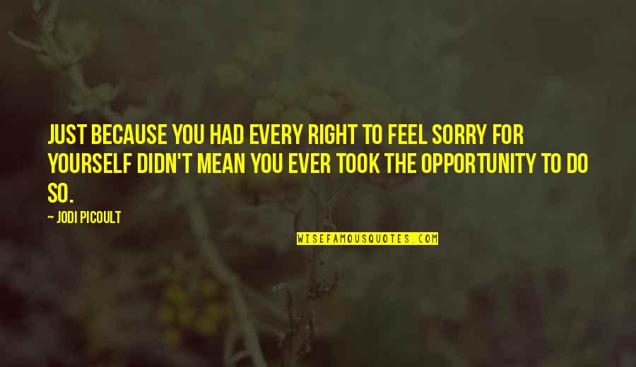 Didn't Mean Quotes By Jodi Picoult: Just because you had every right to feel
