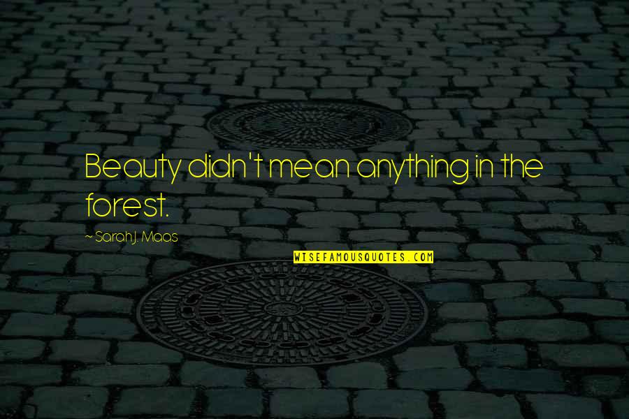 Didn't Mean Quotes By Sarah J. Maas: Beauty didn't mean anything in the forest.