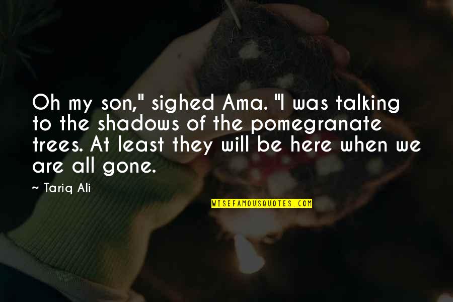 Didonatos Magical Holiday Quotes By Tariq Ali: Oh my son," sighed Ama. "I was talking