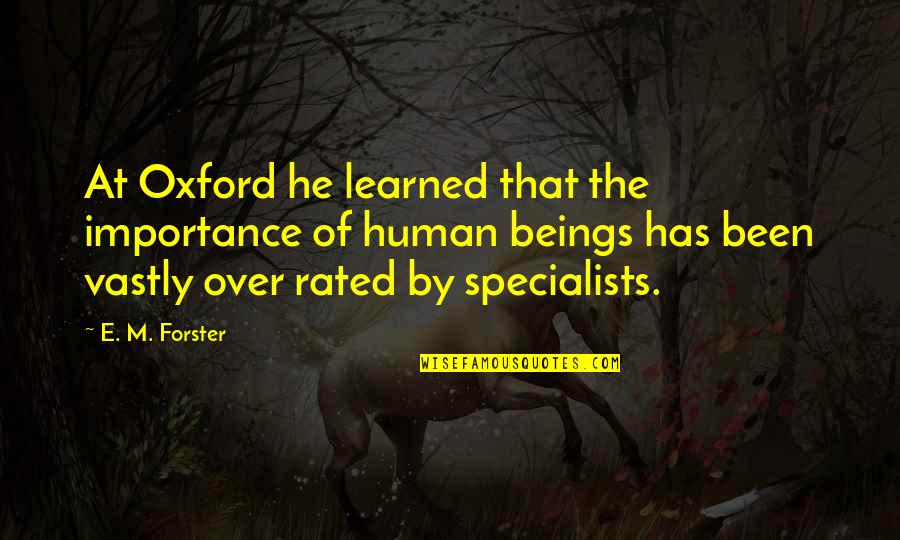 Didovic Ana Quotes By E. M. Forster: At Oxford he learned that the importance of